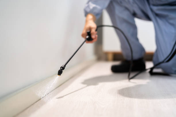 Bed Bug Pre-Treatment Preparation Assessment in Plains