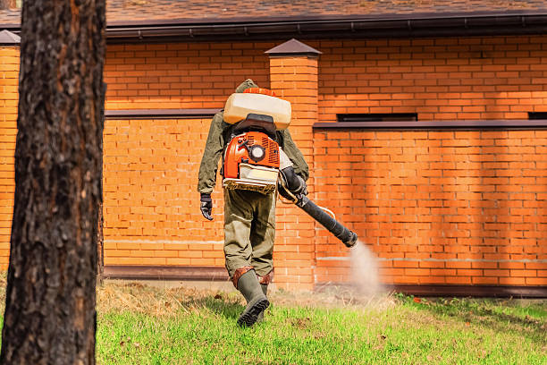 Bed Bug Clearance Verification and Documentation in Plains
